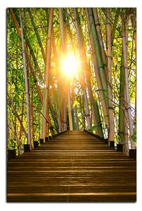 Obraz na plátne - Drevená promenáda v bambusovom lese - obdĺžnik 7172A (120x80 cm)