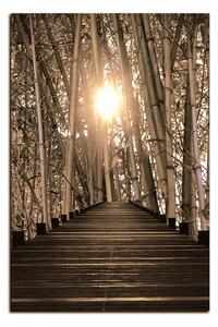 Obraz na plátne - Drevená promenáda v bambusovom lese - obdĺžnik 7172FA (120x80 cm)