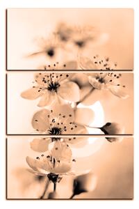 Obraz na plátne - Malé kvety na vetve - obdĺžnik 7173FB (120x80 cm)