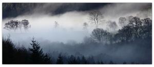 Obraz hmly nad lesom (120x50 cm)