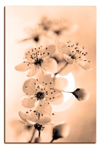 Obraz na plátne - Malé kvety na vetve - obdĺžnik 7173FA (90x60 cm )