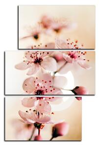 Obraz na plátne - Malé kvety na vetve - obdĺžnik 7173D (90x60 cm)