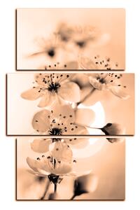 Obraz na plátne - Malé kvety na vetve - obdĺžnik 7173FC (90x60 cm)