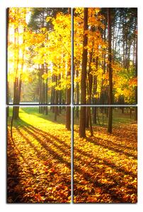 Obraz na plátne - Jesenný les - obdĺžnik 7176E (90x60 cm)