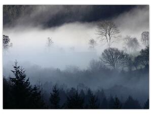 Sklenený obraz hmly nad lesom (70x50 cm)