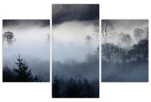 Obraz hmly nad lesom (90x60 cm)
