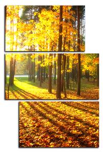 Obraz na plátne - Jesenný les - obdĺžnik 7176D (105x70 cm)