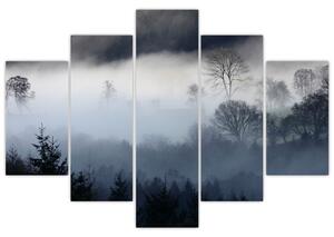 Obraz hmly nad lesom (150x105 cm)