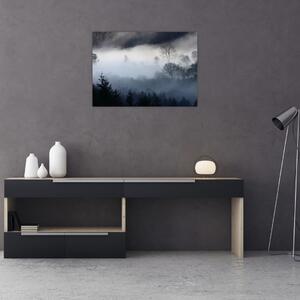 Sklenený obraz hmly nad lesom (70x50 cm)