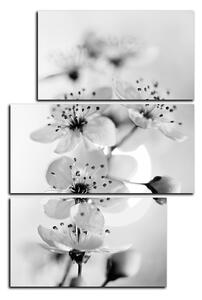 Obraz na plátne - Malé kvety na vetve - obdĺžnik 7173QD (90x60 cm)