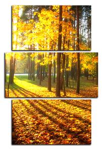 Obraz na plátne - Jesenný les - obdĺžnik 7176C (120x80 cm)