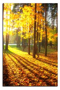 Obraz na plátne - Jesenný les - obdĺžnik 7176A (100x70 cm)