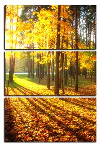 Obraz na plátne - Jesenný les - obdĺžnik 7176B (90x60 cm )