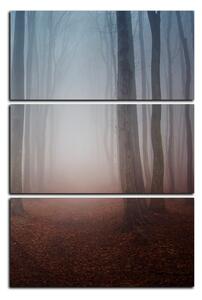 Obraz na plátne - Hmla v lese - obdĺžnik 7182B (90x60 cm )