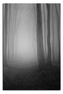 Obraz na plátne - Hmla v lese - obdĺžnik 7182QA (90x60 cm )