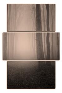 Obraz na plátne - Hmla v lese - obdĺžnik 7182FC (90x60 cm)
