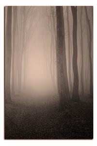 Obraz na plátne - Hmla v lese - obdĺžnik 7182FA (120x80 cm)