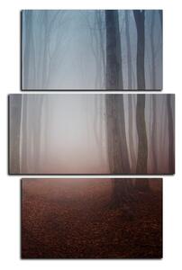 Obraz na plátne - Hmla v lese - obdĺžnik 7182C (90x60 cm)