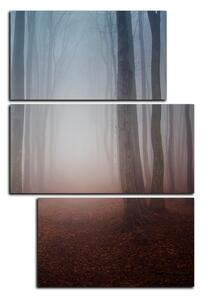 Obraz na plátne - Hmla v lese - obdĺžnik 7182D (90x60 cm)