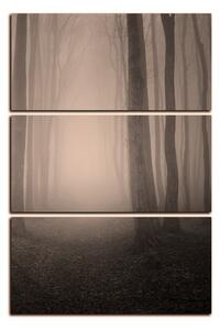 Obraz na plátne - Hmla v lese - obdĺžnik 7182FB (90x60 cm )