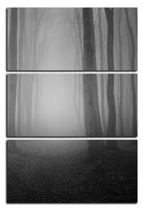 Obraz na plátne - Hmla v lese - obdĺžnik 7182QB (120x80 cm)