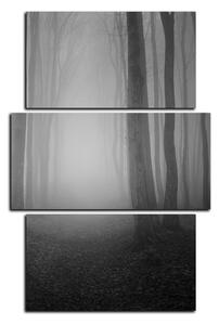 Obraz na plátne - Hmla v lese - obdĺžnik 7182QC (90x60 cm)