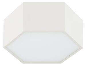 Argon 8781 - LED Stropné svietidlo LIBERO LED/12W/230V 3000K biela