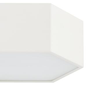 Argon 8781 - LED Stropné svietidlo LIBERO LED/12W/230V 3000K biela