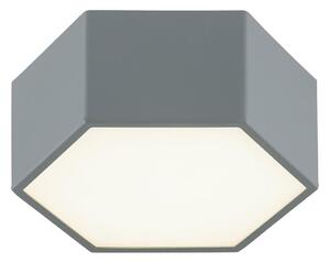 Argon 8784 - LED Stropné svietidlo LIBERO LED/12W/230V 3000K šedá