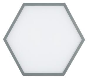 Argon 8784 - LED Stropné svietidlo LIBERO LED/12W/230V 3000K šedá