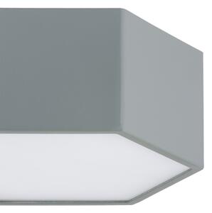 Argon 8784 - LED Stropné svietidlo LIBERO LED/12W/230V 3000K šedá
