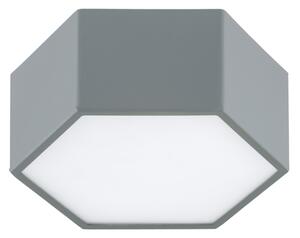 Argon 8784 - LED Stropné svietidlo LIBERO LED/12W/230V 3000K šedá