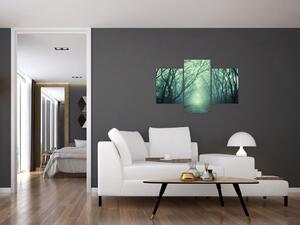 Obraz - Cesta s alejou stromov (90x60 cm)