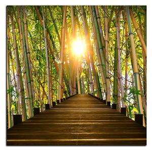 Obraz na plátne - Drevená promenáda v bambusovom lese - štvorec 3172A (50x50 cm)