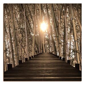 Obraz na plátne - Drevená promenáda v bambusovom lese - štvorec 3172FA (50x50 cm)