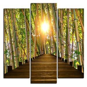 Obraz na plátne - Drevená promenáda v bambusovom lese - štvorec 3172C (75x75 cm)