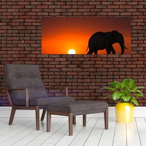 Obraz slona pri západe slnka (120x50 cm)