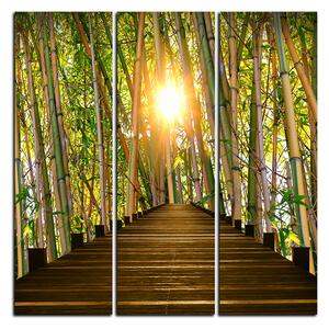 Obraz na plátne - Drevená promenáda v bambusovom lese - štvorec 3172B (75x75 cm)