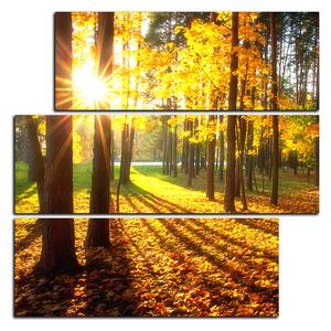 Obraz na plátne - Jesenný les - štvorec 3176D (75x75 cm)