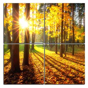 Obraz na plátne - Jesenný les - štvorec 3176E (60x60 cm)