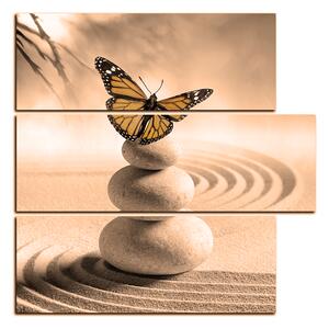 Obraz na plátne - Motýľ na spa kamene - štvorec 3180FD (75x75 cm)