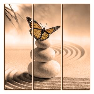 Obraz na plátne - Motýľ na spa kamene - štvorec 3180FB (75x75 cm)