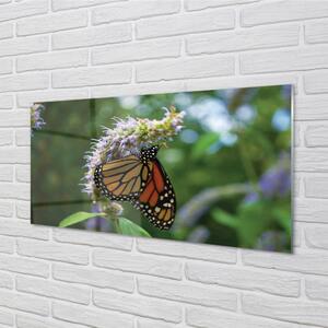 Nástenný panel  Kvet farebný motýľ 100x50 cm