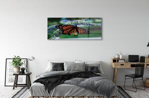 Sklenený obraz Motýľ na kvetine 140x70 cm 2 Prívesky