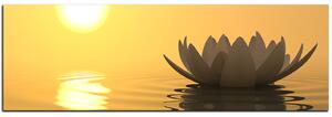 Obraz na plátne - Zen lotus - panoráma 5167A (105x35 cm)