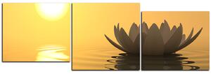 Obraz na plátne - Zen lotus - panoráma 5167D (150x50 cm)