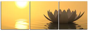 Obraz na plátne - Zen lotus - panoráma 5167B (90x30 cm)