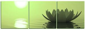 Obraz na plátne - Zen lotus - panoráma 5167ZB (150x50 cm)