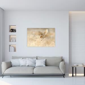Obraz - Sova pálená (90x60 cm)