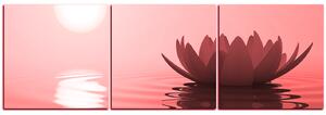 Obraz na plátne - Zen lotus - panoráma 5167CB (150x50 cm)